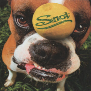 Snot — Get Some