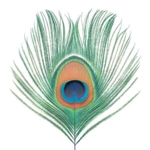 Xtc - Wasp Star (Apple Venus Vol. 1)