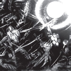 Bug - Machines - Bug - Custom Quad edition